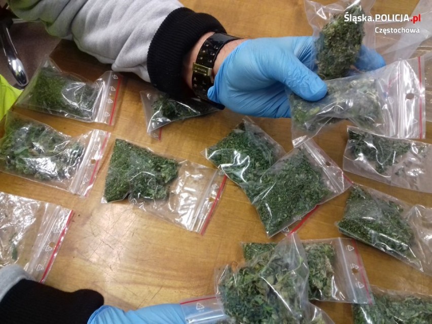 Policja Częstochowa: Przechwycili 120 porcji marihuany