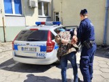 Poszukiwany do odbycia kary więzienia mieszkaniec gminy Łask zatrzymany przez policję po krótkim pościgu. 37-latek uciekał do lasu