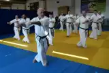 Do Jasła zjechali się zawodnicy i trenerzy karate. Doskonalą umiejętności w Podkarpackim Centrum Sportów Walki [GALERIA]