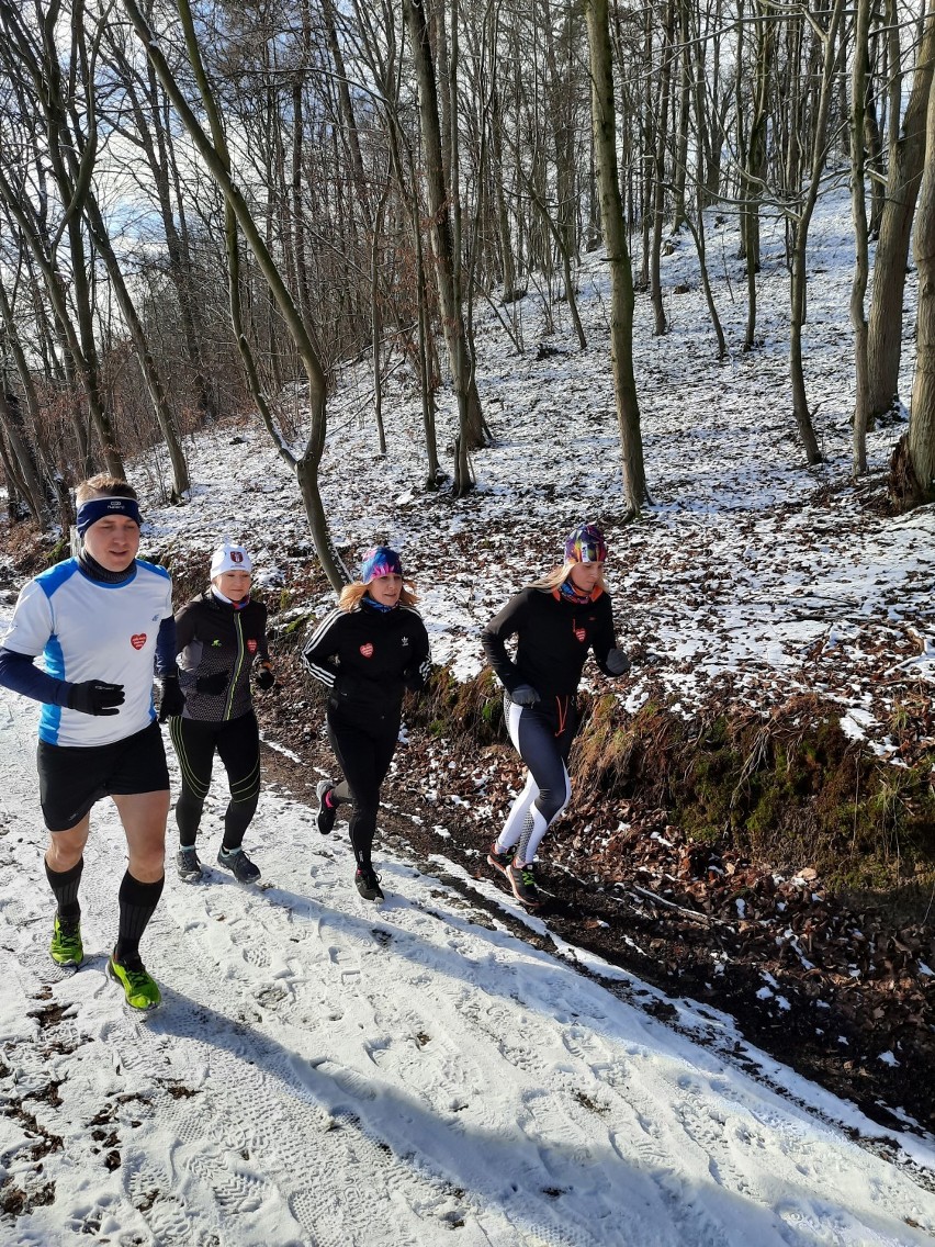 Biegacze z grupy Endo Golub-Dobrzyń na ostatnim treningu...