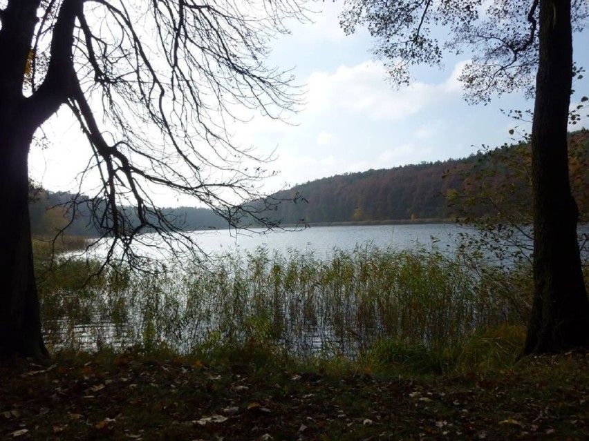Jezioro Strzeleckie: mniej uczęszczane niż Jezioro Miejskie,...