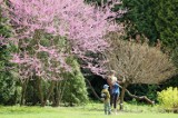 Wiosna w Ogrodzie Botanicznym UMCS. Lublinianie wybrali się na spacer. Zdjęcia