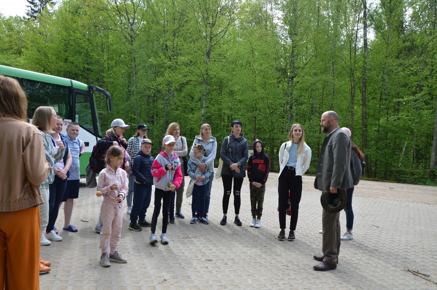 Hajnówka. Ukraińcy z wizytą u żubrów w Rezerwacie Pokazowym Białowieskiego Parku Narodowego