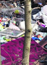 Życie po śmieciach: Odpady przy ogródkach działkowych przy Hucie Rozalia