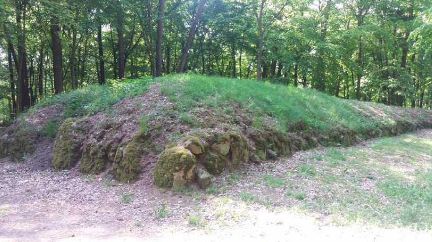 Rezerwat archeologiczny w Wietrzychowicach