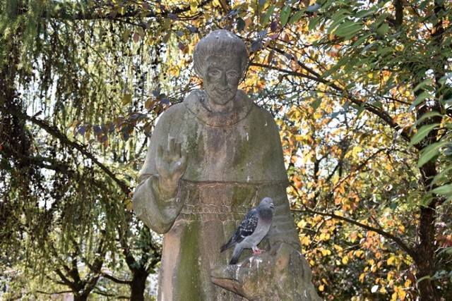 Zaniedbany pomnik św. Franciszka z Asyżu w Legnicy.