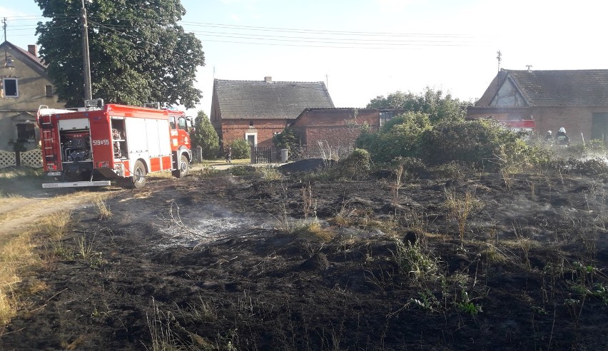 Pożar nieużytków w Kijowicach                     