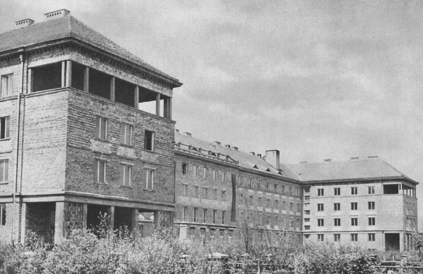 Rok 1954, budowa akademika Mrowisko.