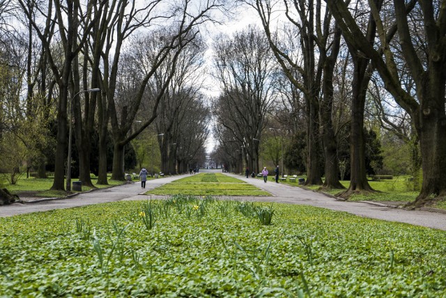 Warszawa rozkwitła na Wielkanoc. Stołeczne parki przywitały wiosnę