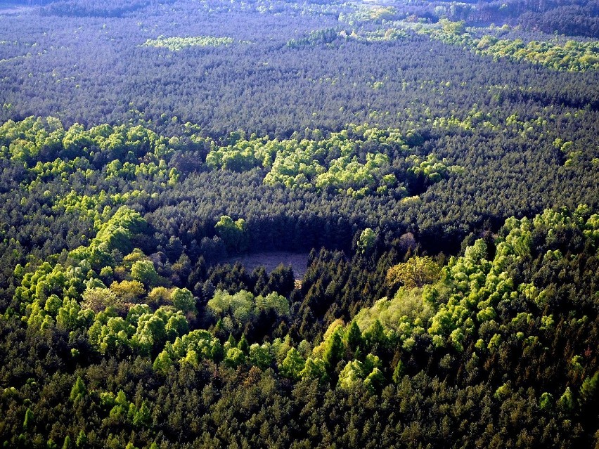 Wyjątkowe zdjęcia lotnicze odrzańskich krajobrazów [GALERIA]