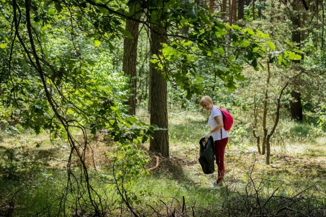 W ramach akcji "Czysta Puszcza Bydgoska" ochotnicy sprzątają tereny leśne.