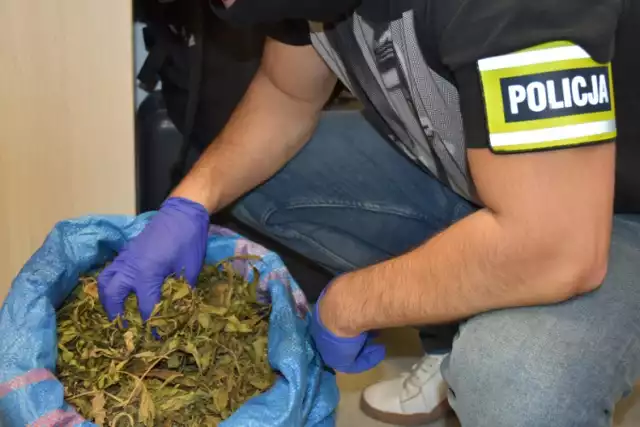 Policja zatrzymała mieszkańca powiatu kaliskiego, który handlował narkotykami