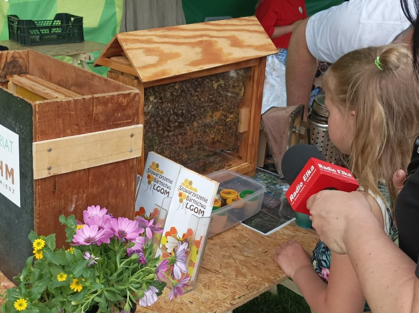 III Światowy Dzień Pszczół w lubińskim zoo rozpoczęty!