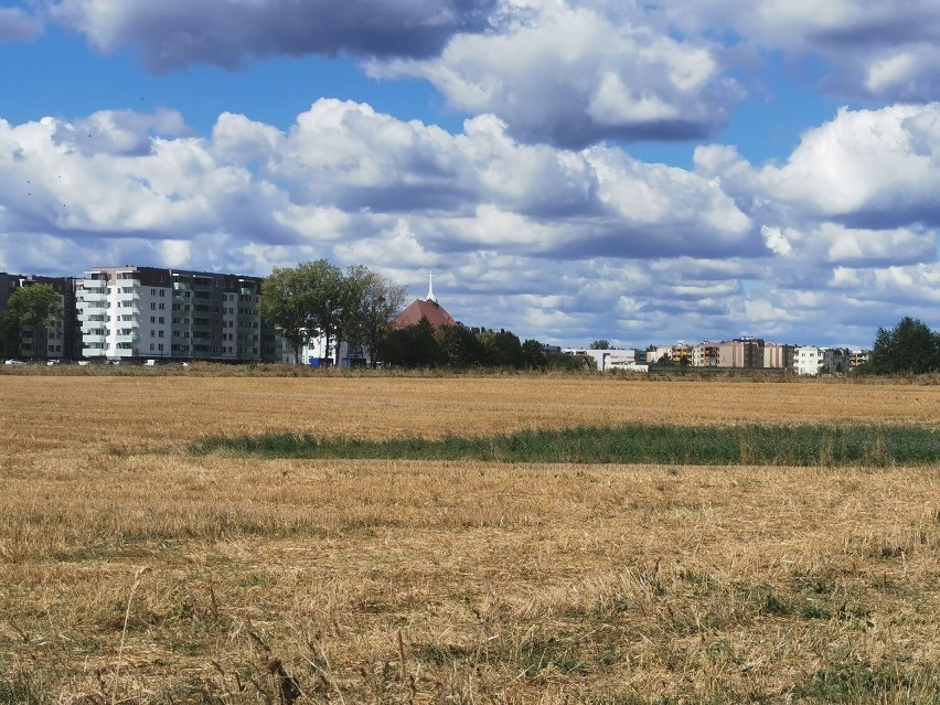 W Zambrowie powstaną nowe miejsca do wypoczynku. W planach m.in. skate park, tężnie czy fontanny