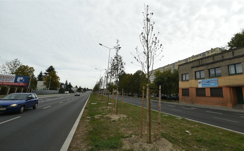 Departament Ekologii i Klimatu, zwany też Zielonym...