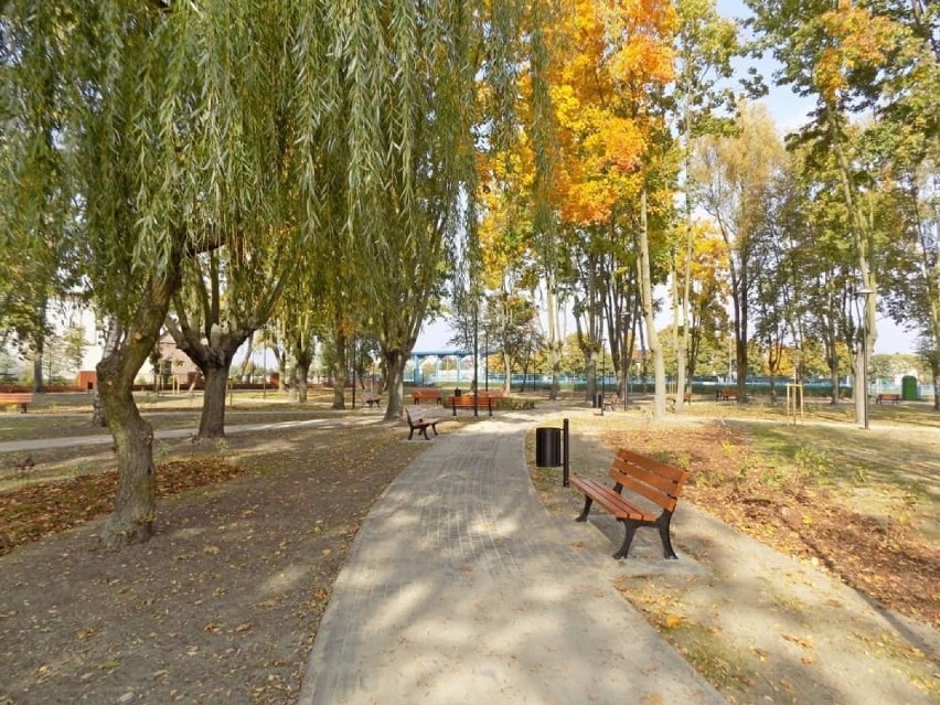Pijani wandale uszkodzili ławki w parku pod Łowiczem [ZDJĘCIA]
