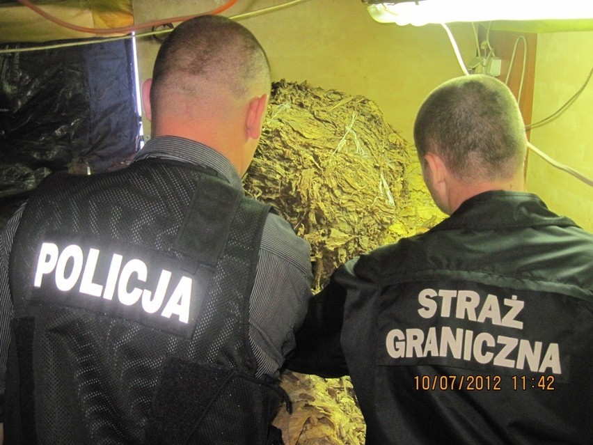 Szczecin: Zlikwidowano nielegalną produkcję wyrobów tytoniowych