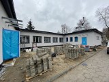 Ogródki deszczowe w Sosnowcu. Do końca czerwca w remontowanych przedszkolach i szkołach powstaną ogródki wykorzystujące deszczówkę