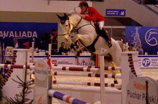 cavaliada 2012, targi, konie, jeździectwo, pokaz