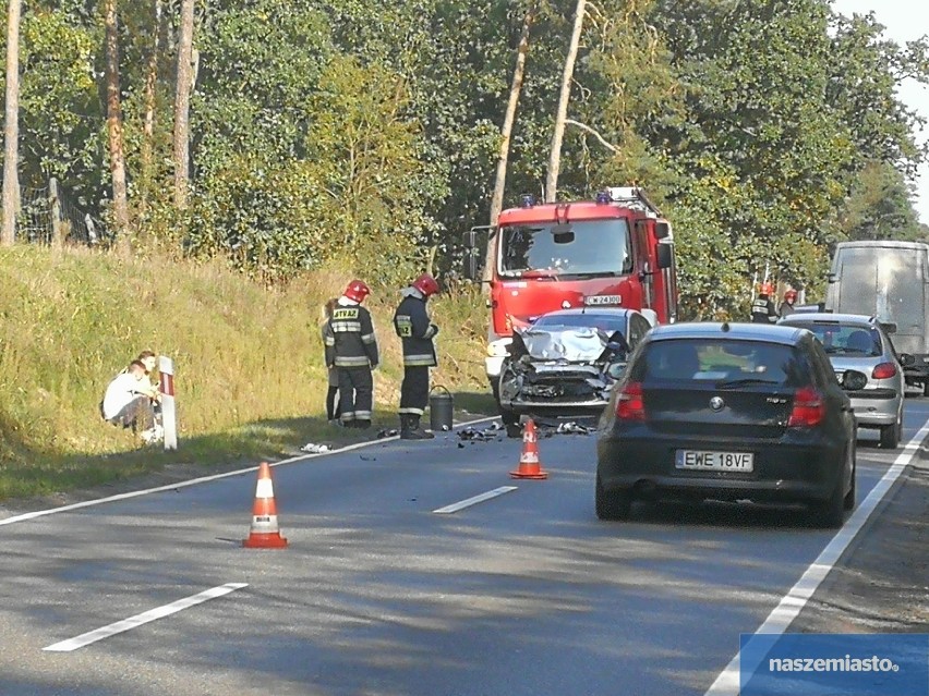 Kot wyrzucony z samochodu. Doszło do wypadku na drodze Włocławek - Brześć Kujawski [zdjęcia]