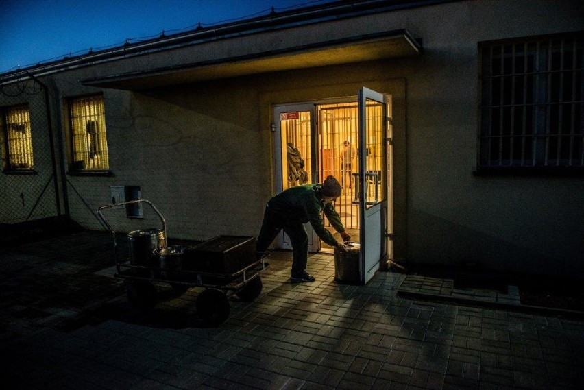 Waldek Stube i Sebastian Uciński wśród nagrodzonych w...