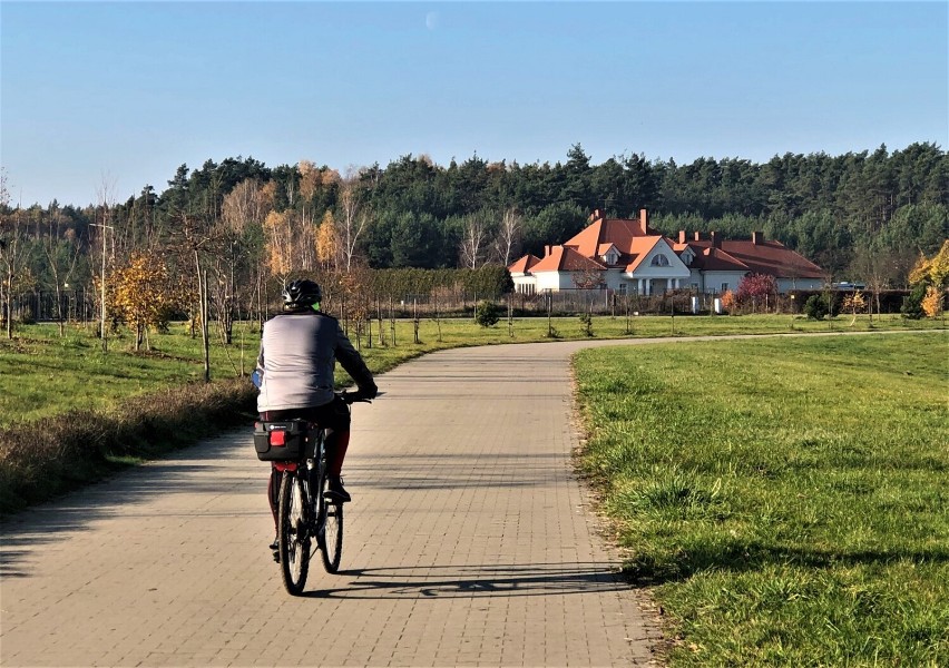 Niedaleko od Leszna. Zalew w Rydzynie w jesiennych barwach. ZDJĘCIA