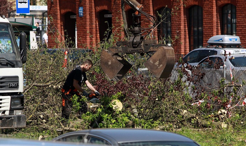 Łodzianin wyciął 140 drzew. Musi zapłacić 15 mln zł kary