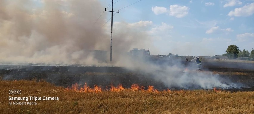 Pożar w Kosowie