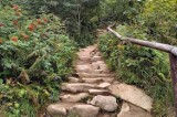 W Bieszczadach naprawiają szlaki, a turyści chwalą. Drewnianych schodów już raczej nie będzie