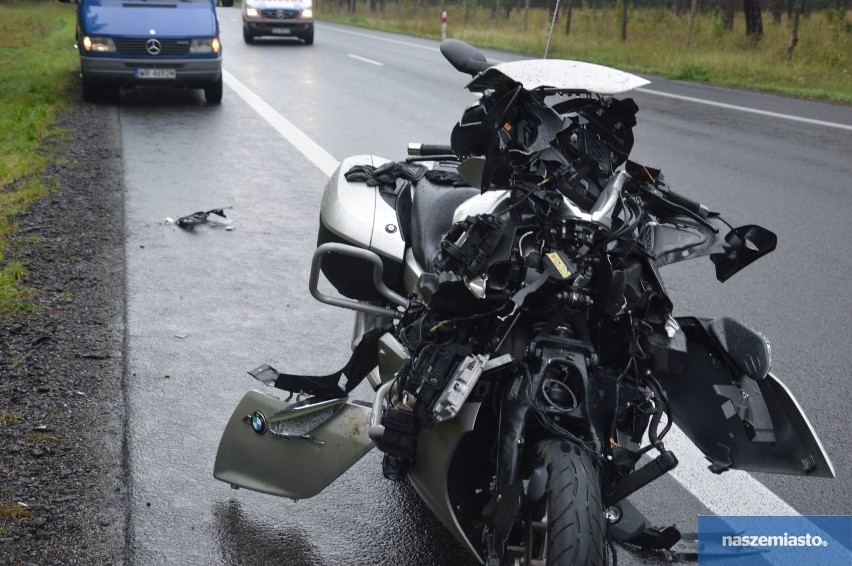 Wypadek na trasie Włocławek - Kowal. Motocyklista zderzył się z łosiem [zdjęcia, wideo]