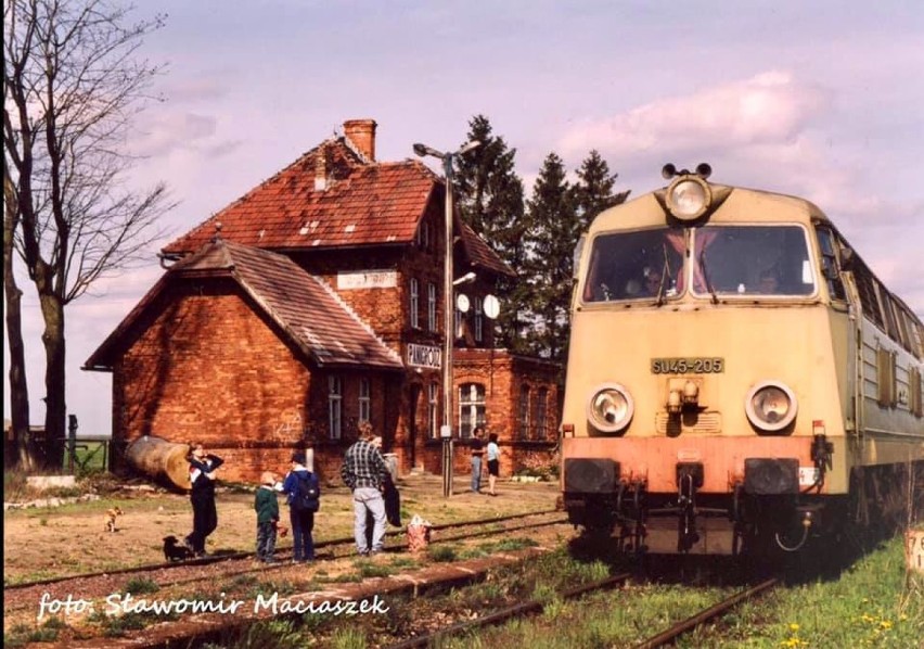 Tak podróżowało się pociągiem w Wągrowcu i okolicy. Zobaczcie archiwalne zdjęcia transportu kolejowego 