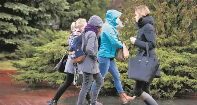 W Toruniu grasuje ekshibicjonista