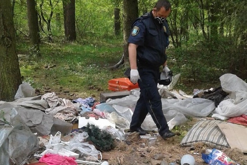 WSCHOWA. Mieszkaniec Leszna podrzucił śmieci na polu w Buczynie. Wpadł jak śliwka w kompot, a jego linia obrony okazała się słaba [ZDJĘCIA]