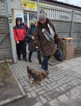 34 zwierzęta ze schroniska przy ul. Marmurowej w Łodzi znalazły dom w ciągu tygodnia