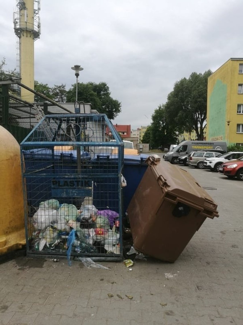 Segregacja śmieci to temat, który budzi żywe emocje