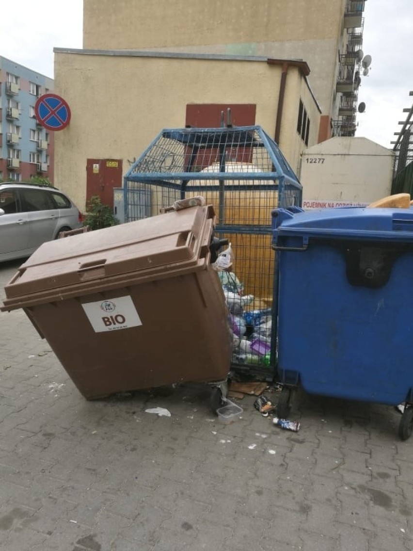 Segregacja śmieci to temat, który budzi żywe emocje