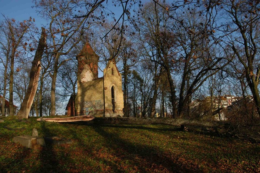 Sztum po wichurze. Połamane drzewa