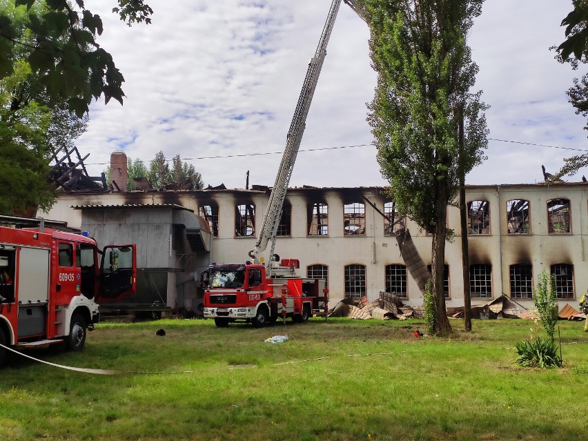 Trwa dogaszanie fabryki sklejek TeWaPol w Zgorzelcu. Policyjni technicy ustalają przyczynę pożaru