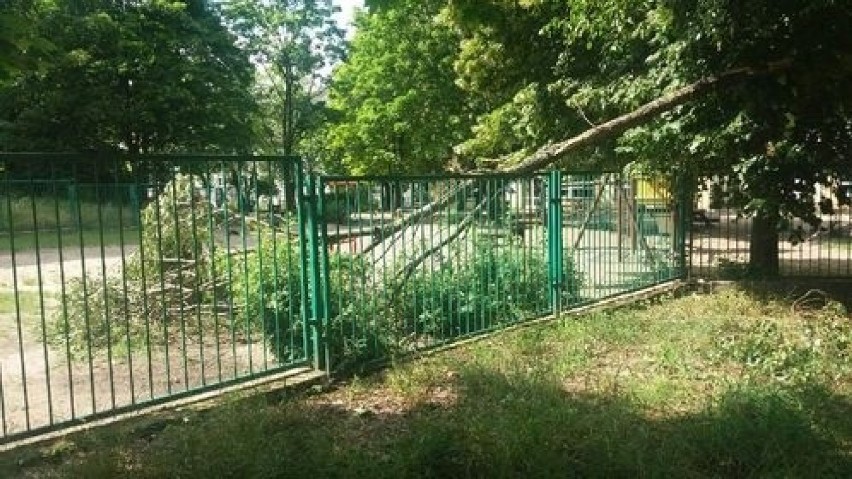 Gałąź drzewa runęła na przedszkolny plac zabaw