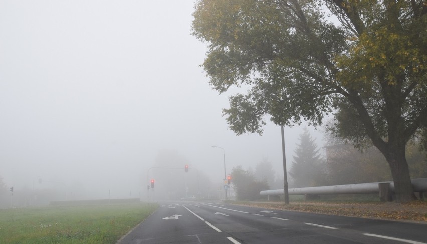 Ostrzeżenie przed gęstą mgłą. Może też być ślisko na drogach