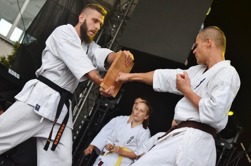 Jarmark Powiatowy w Sieradzu 2019. Koncerty i pokazy. W roli gwiazdy wystąpiły Wilki (zdjęcia)