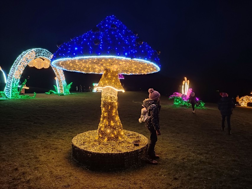 Muszyna. Park Świateł wieczorami przyciąga tłumy. Ogrody Sensoryczne po zmroku zachwycają