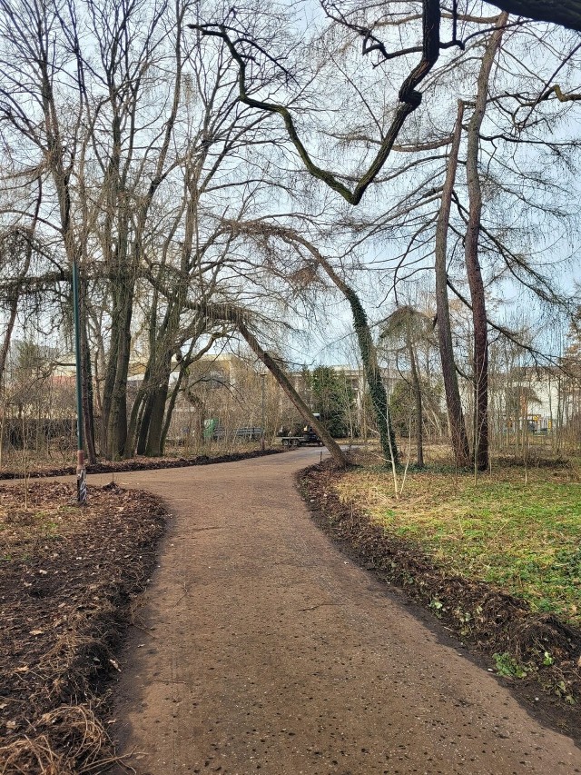 Zarząd Zieleni Miejskiej w Krakowie poinformował o efektach porządków w Parku Jalu Kurka. Wywieziono stamtąd góry śmieci, uporządkowano alejki.