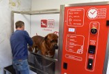 W Wałbrzychu jest samoobsługowa myjnia dla psów – Wash Dog Express! 