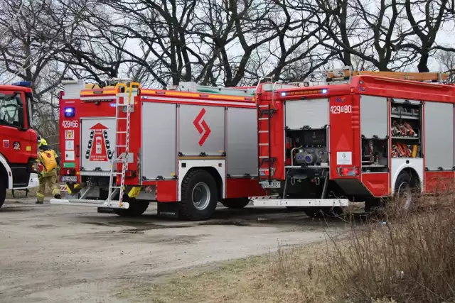 Pożary traw to coroczna zmora. W tym roku zaczynają się już w lutym