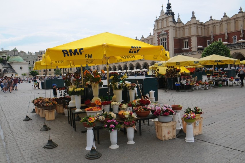 Charakterystyczne żółte parasolki krakowskich kwiaciarek...
