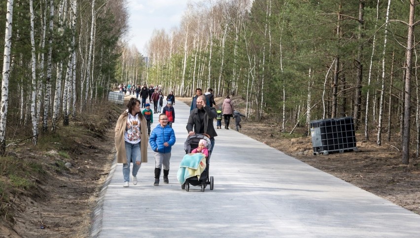 Spacer się udał, ale w drodze powrotnej z Pustyni...