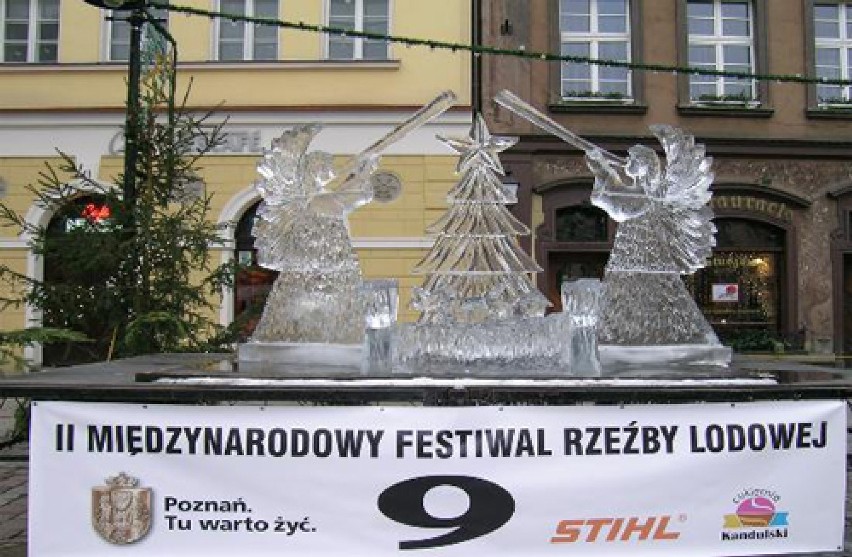 Festiwal Rzeźby Lodowej w Poznaniu: 2007 rok