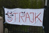 Trwa strajk nauczycieli - jak wyglądają szkoły gdzie trwa protest? [ZDJĘCIA]