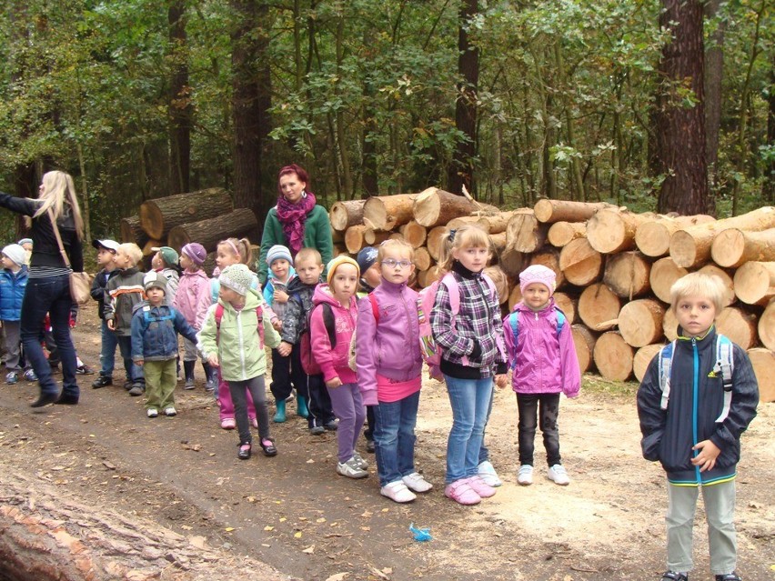 Przedszkolaki na żywej lekcji przyrody (Foto)